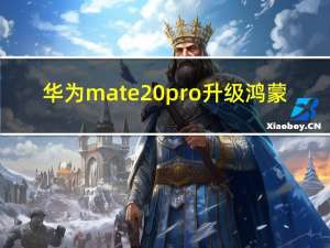 华为mate 20pro升级鸿蒙（华为mate 20）