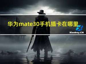 华为mate30手机插卡在哪里（华为mate30手机怎么插卡）