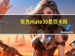 华为mate30是双卡吗