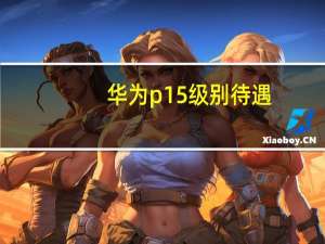 华为p15级别待遇