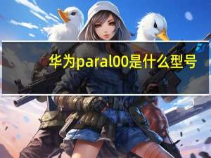 华为paral00是什么型号