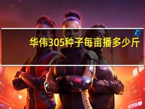 华伟305种子每亩播多少斤
