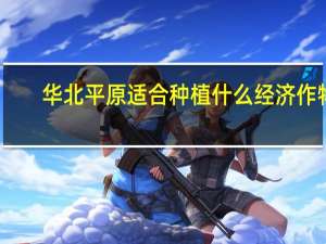 华北平原适合种植什么经济作物