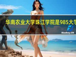 华南农业大学珠江学院是985大学吗