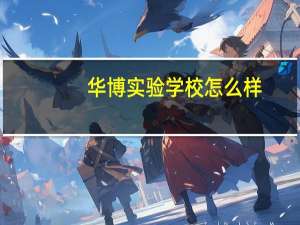 华博实验学校怎么样