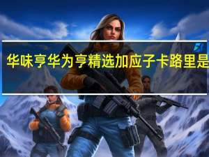 华味亨 华为亨 精选加应子卡路里是多少