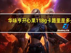 华味亨 开心果 118g卡路里是多少