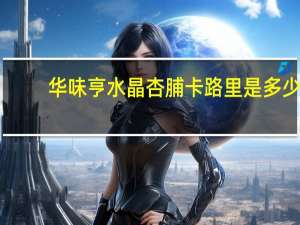 华味亨 水晶杏脯卡路里是多少