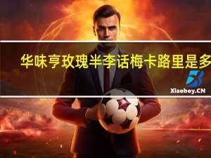 华味亨 玫瑰半李话梅卡路里是多少