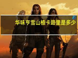 华味亨 雪山楂卡路里是多少