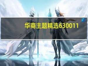 华商主题精选630011（华商主题精选）
