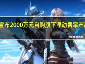 华夏基金宣布2000万元自购旗下浮动费率产品华夏信兴回报