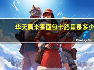 华天黑米香面包卡路里是多少