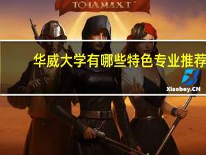 华威大学有哪些特色专业推荐