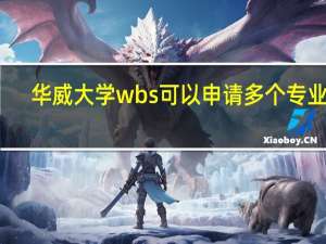 华威大学wbs可以申请多个专业么