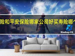 华安保险和平安保险哪家公司好 买寿险哪个保险公司好