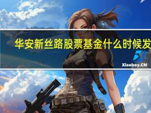 华安新丝路股票基金什么时候发行（华安新丝路股票基金）
