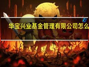华宝兴业基金管理有限公司怎么样（华宝兴业基金管理有限公司）