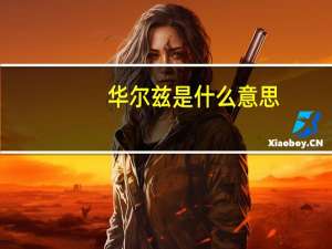 华尔兹是什么意思