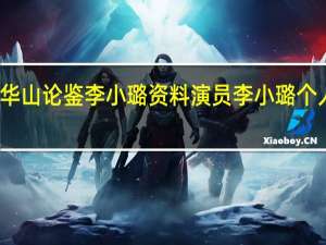 华山论鉴李小璐资料 演员李小璐个人资料