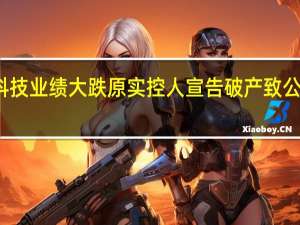 华映科技业绩大跌 原实控人宣告破产致公司雪上加霜