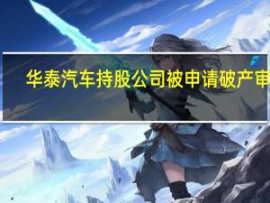 华泰汽车持股公司被申请破产审查