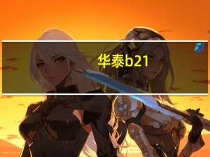华泰b21（华泰B21简介）
