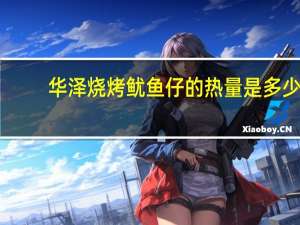 华泽 烧烤鱿鱼仔的热量是多少