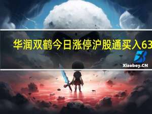 华润双鹤今日涨停 沪股通买入6357.86万元并卖出1069.94万元