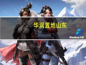 华润置地山东（关于华润置地山东的介绍）