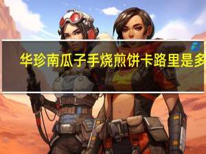 华珍 南瓜子手烧煎饼卡路里是多少