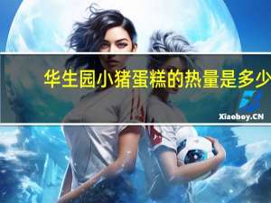 华生园 小猪蛋糕的热量是多少
