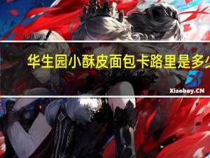 华生园小酥皮面包卡路里是多少