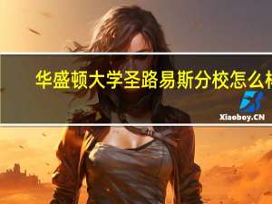 华盛顿大学圣路易斯分校怎么样