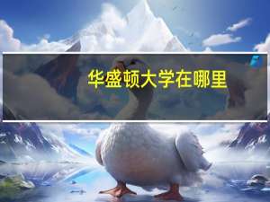 华盛顿大学在哪里