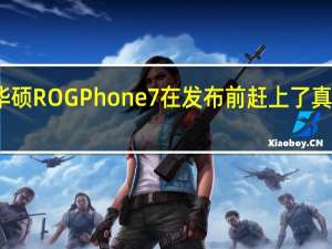 华硕ROG Phone 7在发布前赶上了真实图像