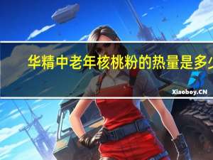 华精 中老年核桃粉的热量是多少