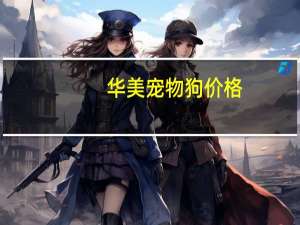 华美宠物狗价格