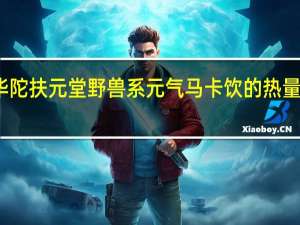 华陀扶元堂 野兽系元气马卡饮的热量是多少