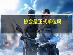 协会是正式单位吗