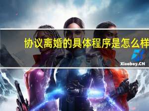 协议离婚的具体程序是怎么样