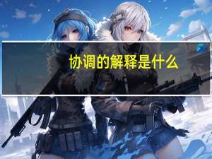 协调的解释是什么
