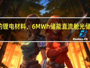 协鑫集团发布行业领先的锂电材料、6MWh储能直流舱 光储充算全场景解决方案集体亮相