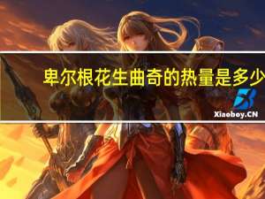 卑尔根 花生曲奇的热量是多少