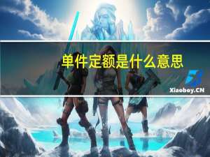 单件定额是什么意思