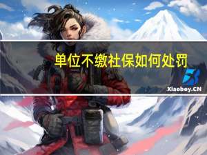 单位不缴社保如何处罚