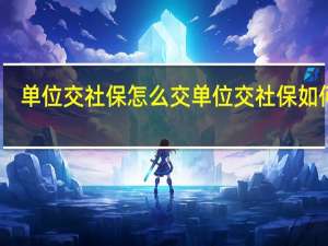 单位交社保怎么交 单位交社保如何交