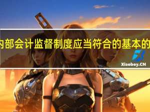 单位内部会计监督制度应当符合的基本的要求是什么？