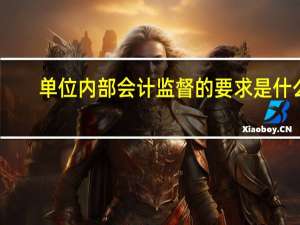 单位内部会计监督的要求是什么
