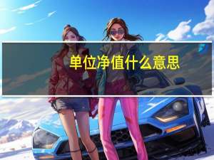 单位净值什么意思